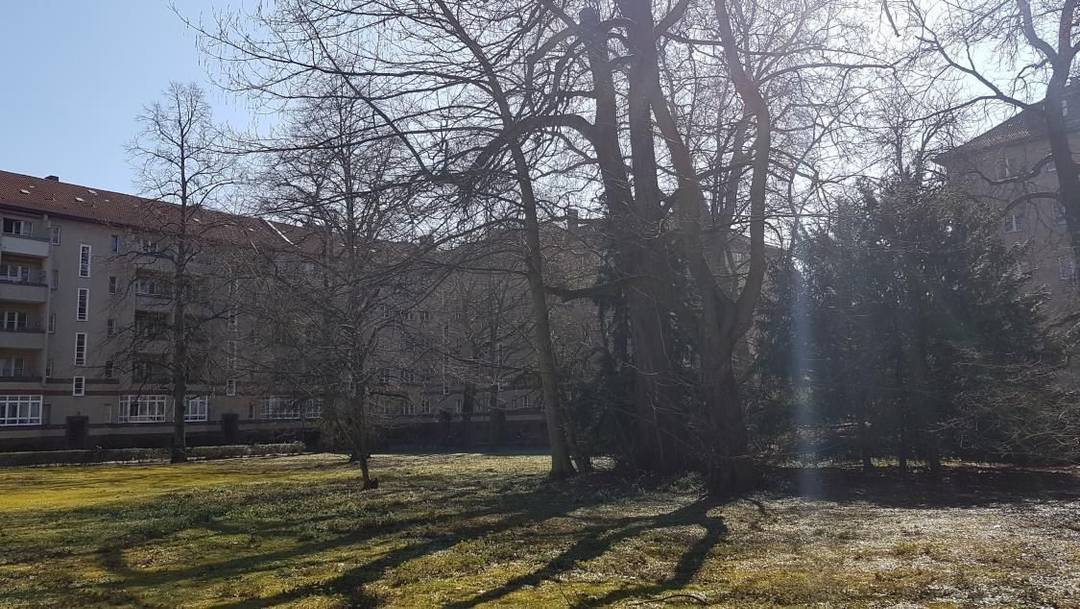 Wilmersdorf am Volkspark: 2-Zimmer-Altbau mit Südbalkon direkt am Schoelerpark – Bild 3