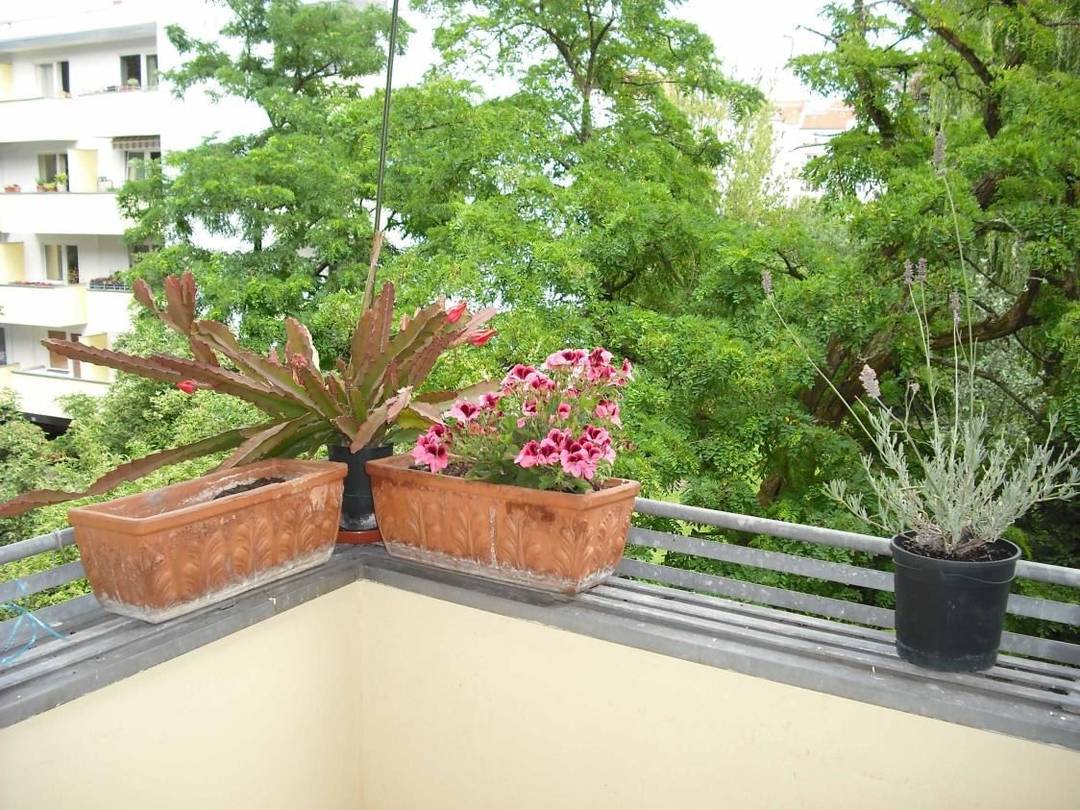 Wilmersdorf am Volkspark: 2-Zimmer-Altbau mit Südbalkon direkt am Schoelerpark – Bild 8