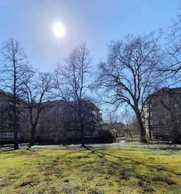 Wilmersdorf am Volkspark: 2-Zimmer-Altbau mit Südbalkon direkt am Schoelerpark